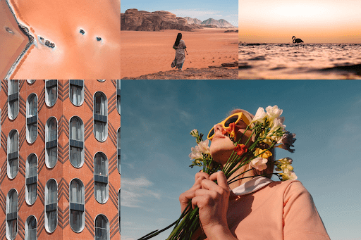 coral Coral - Most clickable colours for marketers and advertisers in 2022