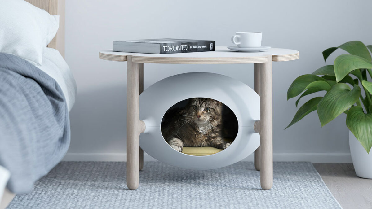 two-australia-pet-friendly-home-Igloo-Coffee-Table-Doubled-as-a-Cat-Bed Pet Friendly Home Igloo Coffee Table Doubled as a Cat Bed