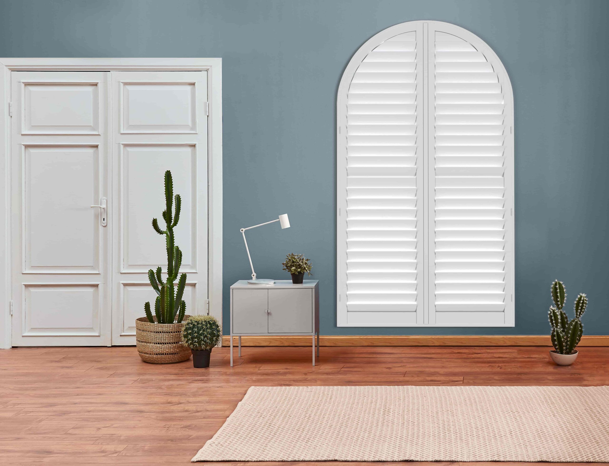Room with blue walls, white door, arched window shutters, gray cabinet, three potted cacti, and beige rug.