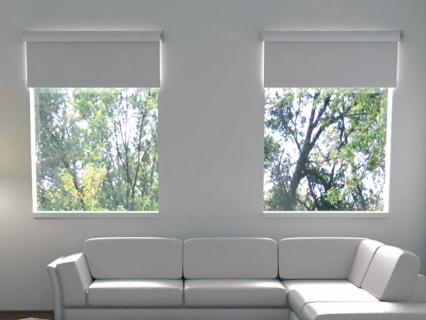 two-australia-dealer-dispatch-outsidemount-roller-blind Outside Mount Roller Blind